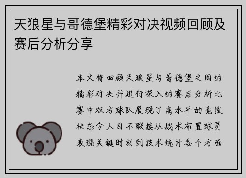 天狼星与哥德堡精彩对决视频回顾及赛后分析分享